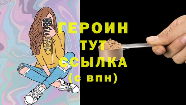 гидра Каменка