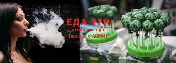 гидра Каменка