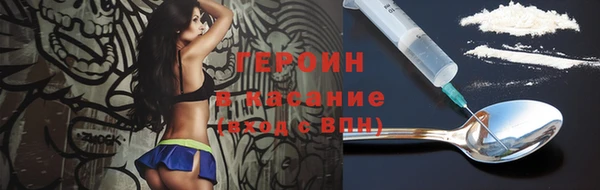 гидра Каменка