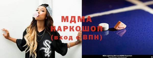 гидра Каменка