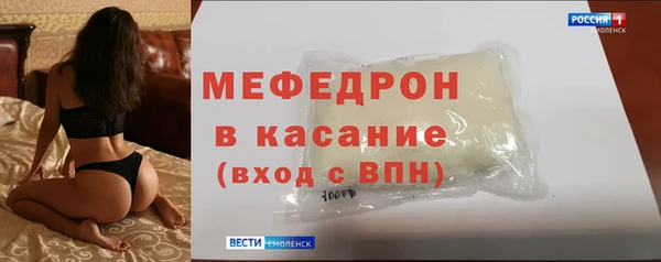 гидра Каменка