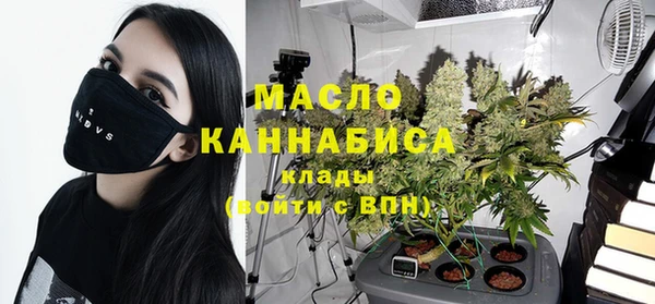 гидра Каменка