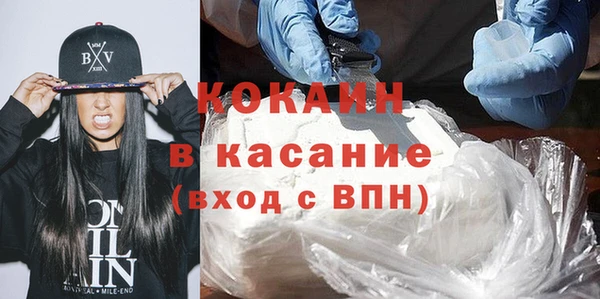 гидра Каменка