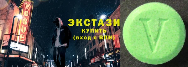гидра Каменка