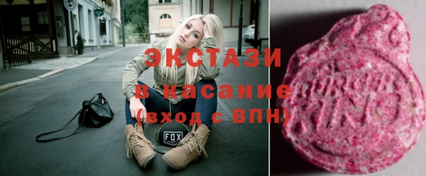 гидра Каменка