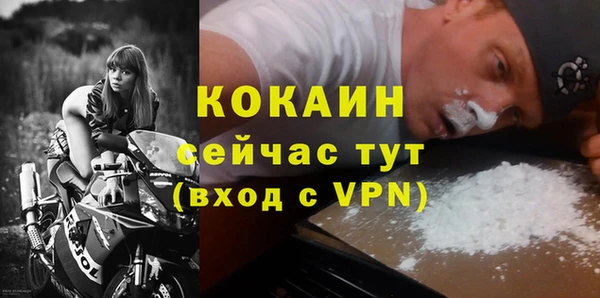 гидра Каменка