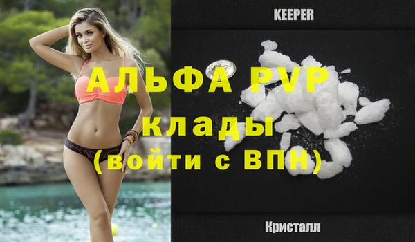 гидра Каменка